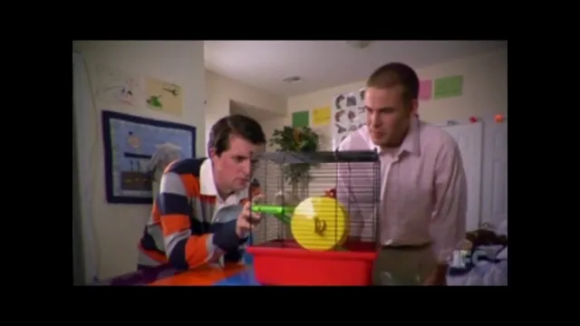 Hamster Death