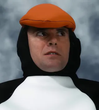 The Hard Life of a Male Penguin