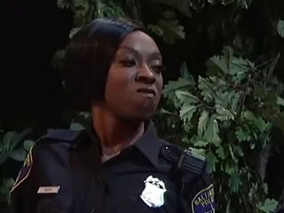 Traffic Stop