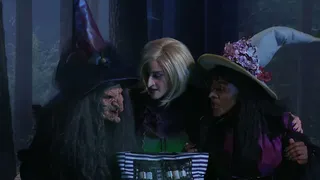 Essential Oils MLM for Witches