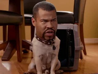 Puppy Dog Ice-T