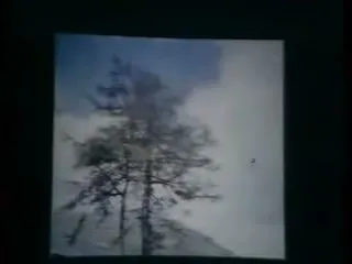 The Larch