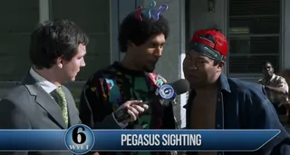 Pegasus Sighting