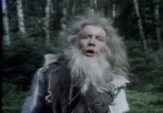 It's Man: Woodland Opening