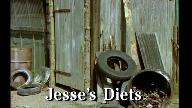 Jesse’s Diets: Followed Through