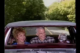 Toonces, the Cat Who Could Drive a Car