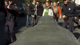 Hippo in the City