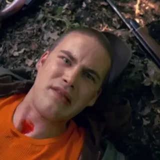 Wounded Hunter