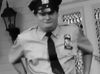 Police Officer
