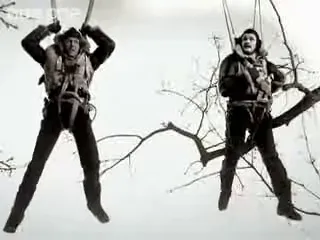 RAF Pilots: Caught in Trees