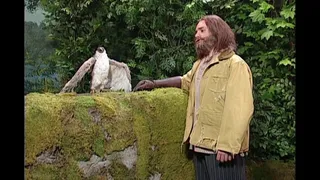 The Falconer: The Switch