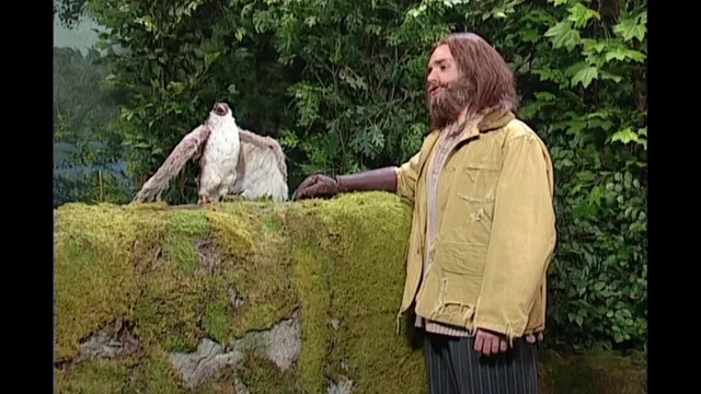 The Falconer: The Switch