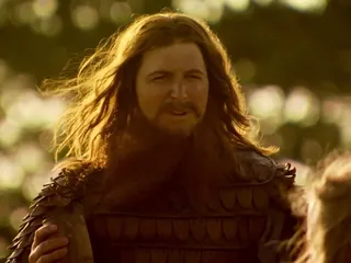Viking Poet
