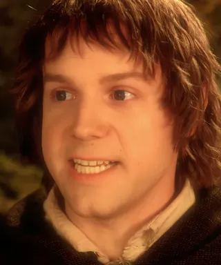 Frodo Baggins