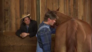 Horses Love Stegosaurus
