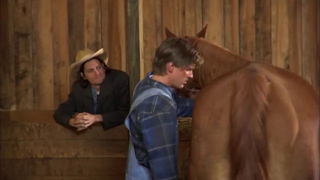 Horses Love Stegosaurus