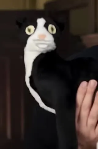 Fluffy