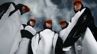 The Hard Life of a Male Penguin