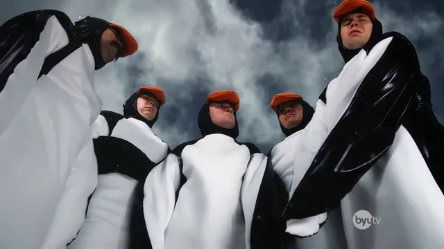 The Hard Life of a Male Penguin