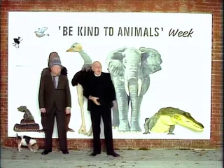 Bill Posters