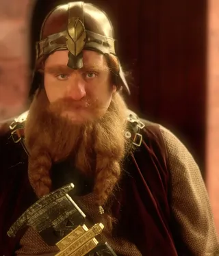Lord of the Rings Parody: You Have My Sword