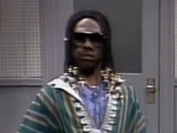 Stevie Wonder