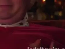 Coy