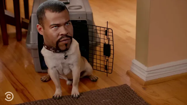 Puppy Dog Ice-T